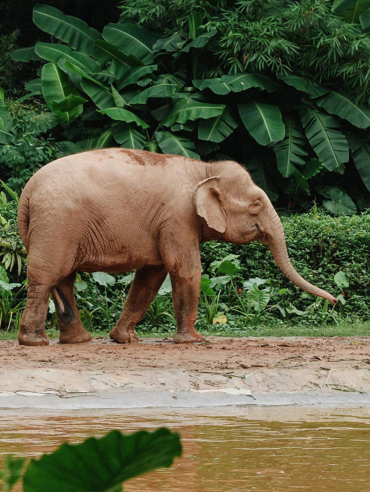 Protecting Our Environment is A Shared Responsibility